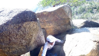 六甲山の荒地山（新七衛門ぐら）